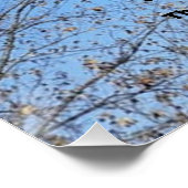 OMHOOG TILLEN PERFECT POSTER (Hoek)