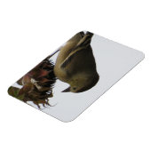 OmhoogZonnebloem Eating Goldfinch Magnet Magneet (Linkerzijde)