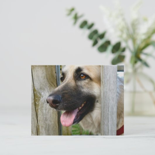 omhuld briefkaart (Staand voorkant)