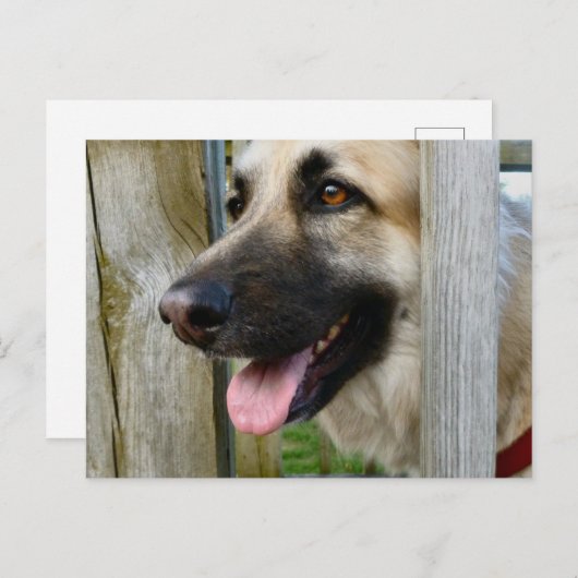 omhuld briefkaart (Voorkant / Achterkant)