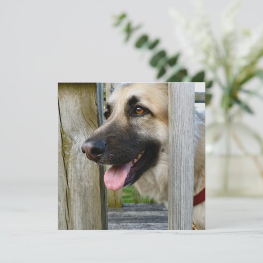 omhuld kaart (Staand voorkant)