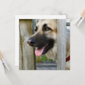 omhuld kaart (Voorkant / Achterkant in situ)