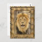 omhuld lion briefkaart (Voorkant / Achterkant)