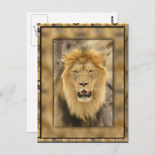 omhuld lion briefkaart (Voorkant / Achterkant)