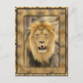 omhuld lion briefkaart (Voorkant)