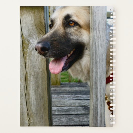 omhuld planner (Achterkant)