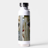 omhuld waterfles (Links)