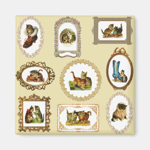  omhulde katten magneet