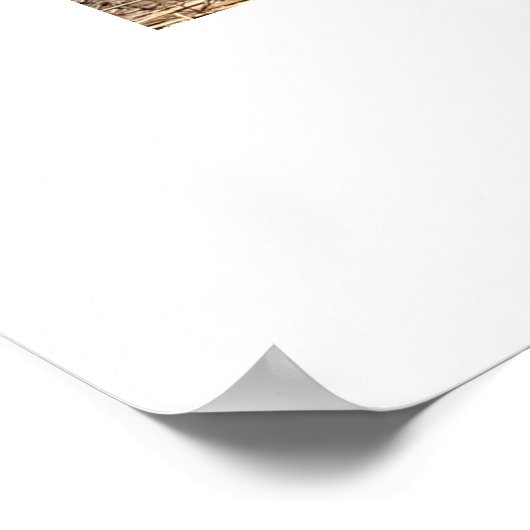 Omhulling grote Knothole boomschors Poster (Hoek)