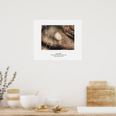 Omhulling grote Knothole boomschors Poster (Keuken)