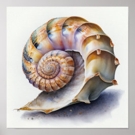 Omhulsel van de Kroiekoek in het poster van de wat