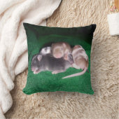 Omkeerbaar Sierkussen van Baby (Deken)