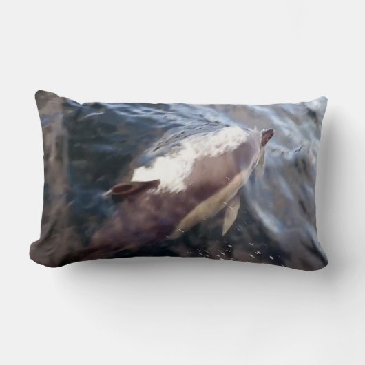 Omkeerbare gewone dolfijnenoppervlakte kussen (Voorkant)