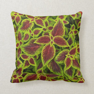 Omkeerbare rode en Chartreuse Coleus Leaves Pillow Kussen