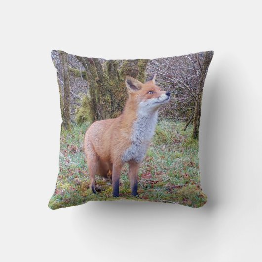 Omkeerbare rode vos kussen (Achterkant)