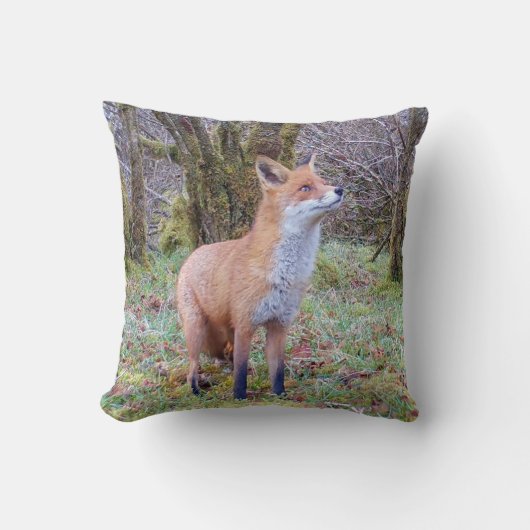 Omkeerbare rode vos kussen (Voorkant)