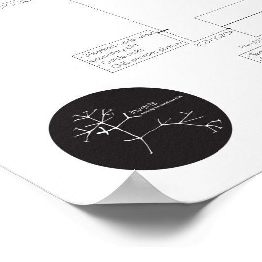 Omkeren: de dierboom van het leven verkennen poster (Hoek)