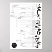 Omkeren: de dierboom van het leven verkennen poster (Voorkant)