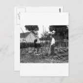 Omlaag: 1926 briefkaart (Voorkant / Achterkant)