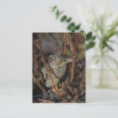 Omlaag Briefkaart (Staand voorkant)