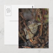 Omlaag Briefkaart (Voorkant / Achterkant)