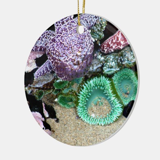 Omlaag door de kerstversiering van het Zee Keramisch Ornament (Links)