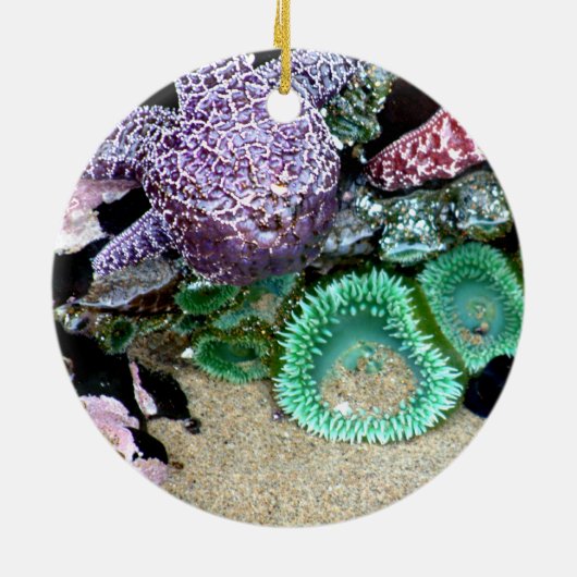 Omlaag door de kerstversiering van het Zee Keramisch Ornament (Achterkant)