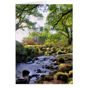 'Omlaag door de rivier'