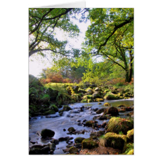 'Omlaag door de rivier'