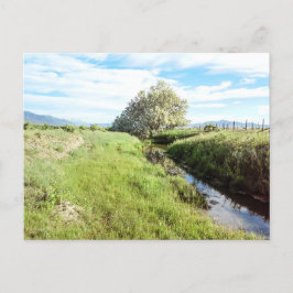 Omlaag door het Briefkaart Creek