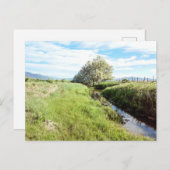 Omlaag door het Briefkaart Creek (Voorkant / Achterkant)