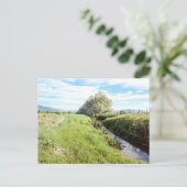 Omlaag door het Briefkaart Creek (Staand voorkant)