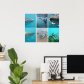 Omlaag onder het Zee Ocean Life Animals Australië Poster (Thuiskantoor)