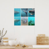 Omlaag onder het Zee Ocean Life Animals Australië Poster (Keuken)