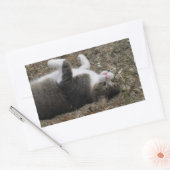 Omlaag Stickers Kat rechthoek (Envelop)