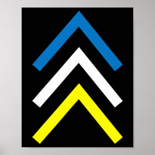 Omlaag Syndroom Drie Chromosoompijlen Bewustheid M Poster