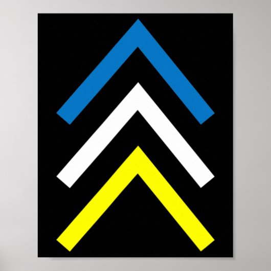 Omlaag Syndroom Drie Chromosoompijlen Bewustheid M Poster (Voorkant)