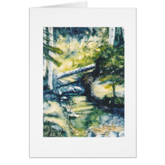 Omlaag van Oowah Lake