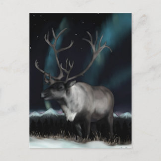 Omloop van het Briefkaart van de noordelijke licht