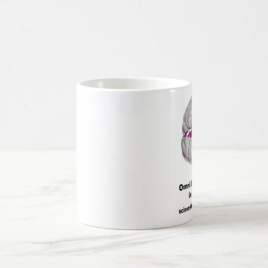 Omni Brain mok (Center)