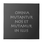 Omnia mutantur nos et mutamur in illis tegeltje (Voorkant)