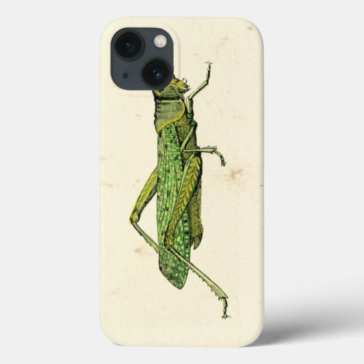 Omrande print van groene sprinkhaan Case-Mate iPhone case (Achterkant)