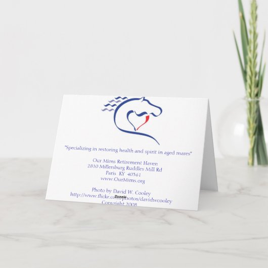 OMRH Kerstmis 2008 Feestdagen Kaart (Achterkant)