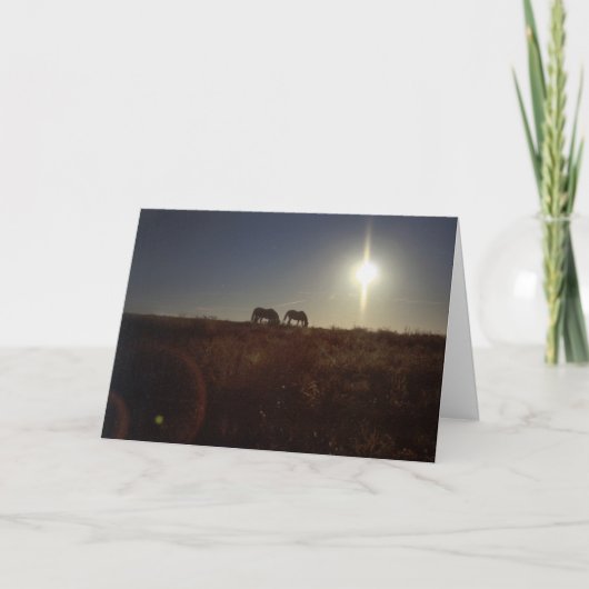 OMRH Kerstmis 2008 Feestdagen Kaart (Voorkant)