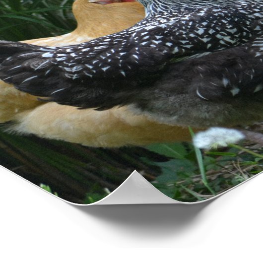 Omringd door het Poster van de waterkoeler (Hoek)