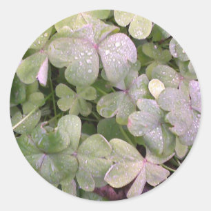 Omslag in de regen ronde sticker