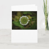 Omslag, kaart (Voorkant)