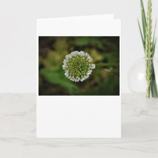 Omslag, kaart (Voorkant)