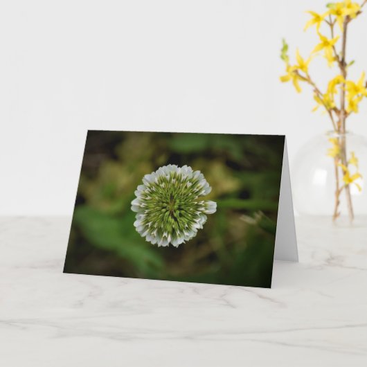 Omslag, kaart (Gele Bloem)