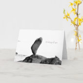 omslagpunt kaart (Gele Bloem)